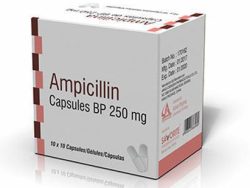 Omnipen® (Generic Ampicillin)