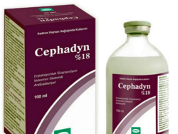 Cephadyn (Generic Acetaminophen)
