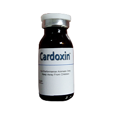 Cardoxin (Generic Digoxin)