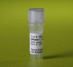 DNase (Generic Dornase Alfa)