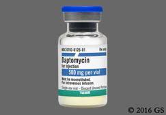 Daptomycin Injection