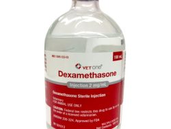 Dexamethasone Injection