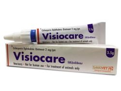 Dexasporin (Generic Dexamethasone Ophthalmic)