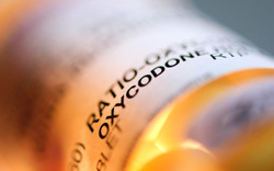 Dolagesic (Generic Hydrocodone Combination Products)