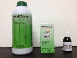 Farbital (Generic Aspirin, Butalbital, and Caffeine)