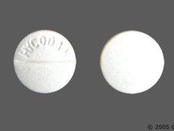 Hycodan (Generic Hydrocodone Combination Products)
