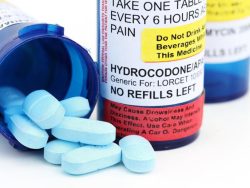 Hydrocodone Combination Products