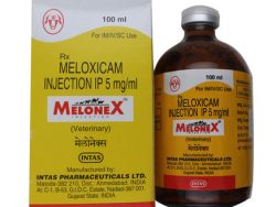 Meloxicam Injection