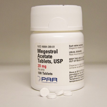 Megestrol.jpg