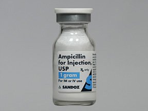 Aminobenzylpenicillin (Generic Ampicillin Injection)