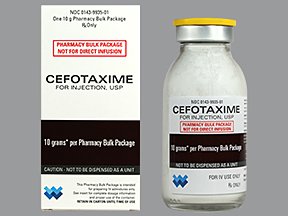 Cefotaxime Injection