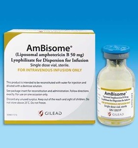 Amphotericin B Liposomal Injection