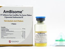 AmBisome (Generic Amphotericin B Liposomal Injection)