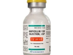 Omnipen-N® (Generic Ampicillin Injection)