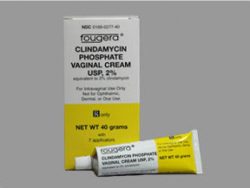 Clindamycin Vaginal