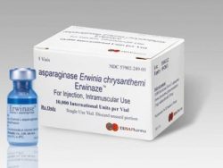 Asparaginase Erwinia chrysanthemi