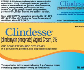 Clindesse Vaginal Cream (Generic Clindamycin Vaginal)