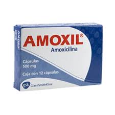 Amoxil (Generic Amoxicillin)