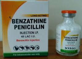 Benzathine Benzylpenicillin (Generic Penicillin G Benzathine Injection)