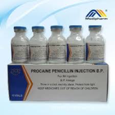 APPG (Generic Penicillin G Procaine Injection)