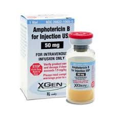 Amphotericin B Injection