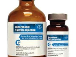 Butorphanol Injection