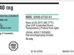 Mevacor (Generic Lovastatin)