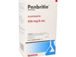 Penbritin (Generic Ampicillin)