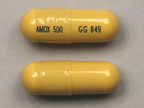 p-Hydroxyampicillin (Generic Amoxicillin)