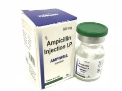 Penbritin-S (Generic Ampicillin Injection)