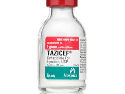 Tazicef (Generic Ceftazidime Injection)