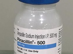 Totacillin-N (Generic Ampicillin Injection)