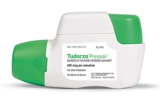 1 Image 11 1 Image 11