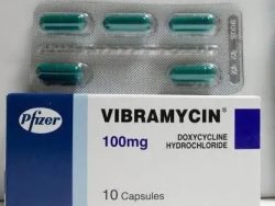 Vibramycin (Generic Doxycycline)